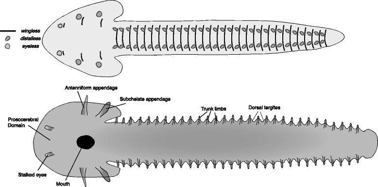 Fig. 5