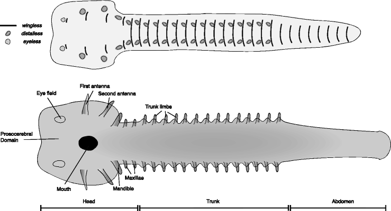 Fig. 7