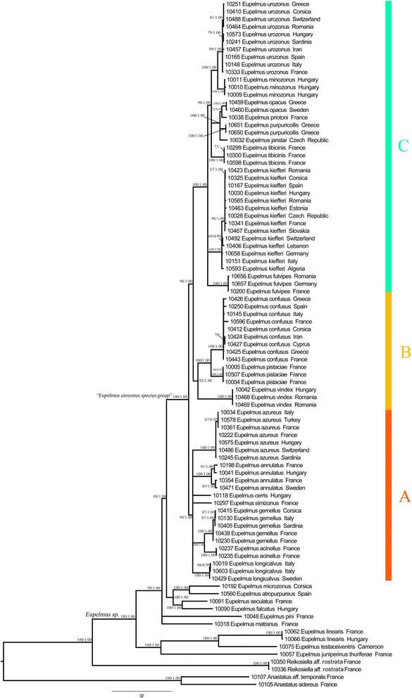 Fig. 1