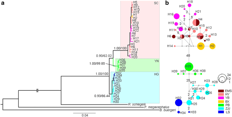 Fig. 2