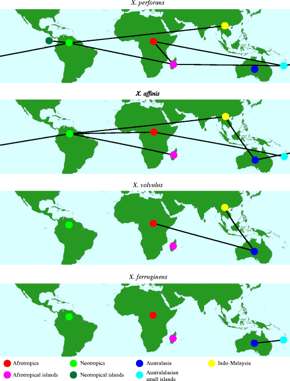 Fig. 3