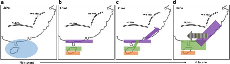 Fig. 5