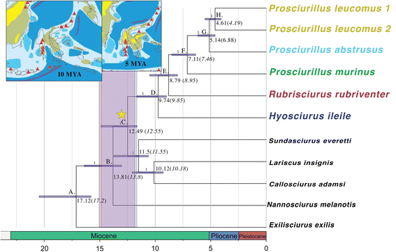 Fig. 5