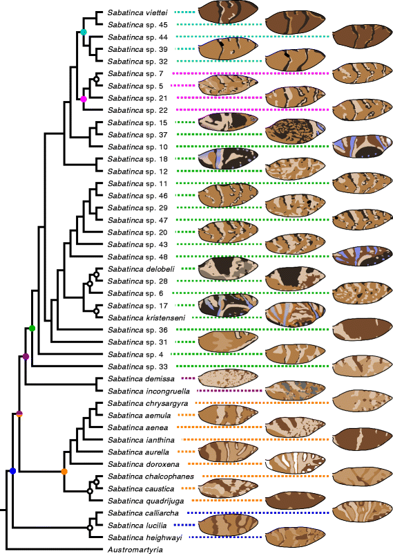 Fig. 17