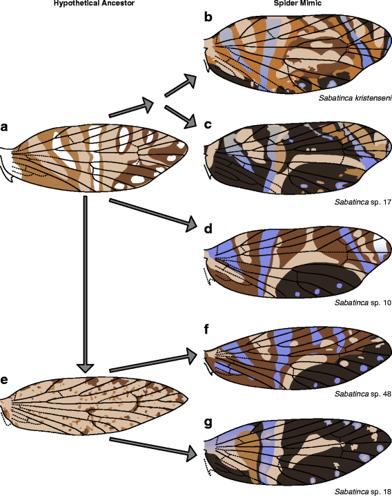 Fig. 19