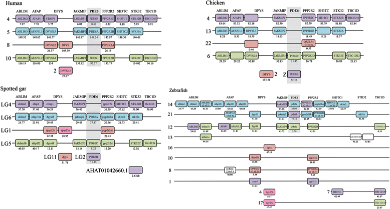 Fig. 2