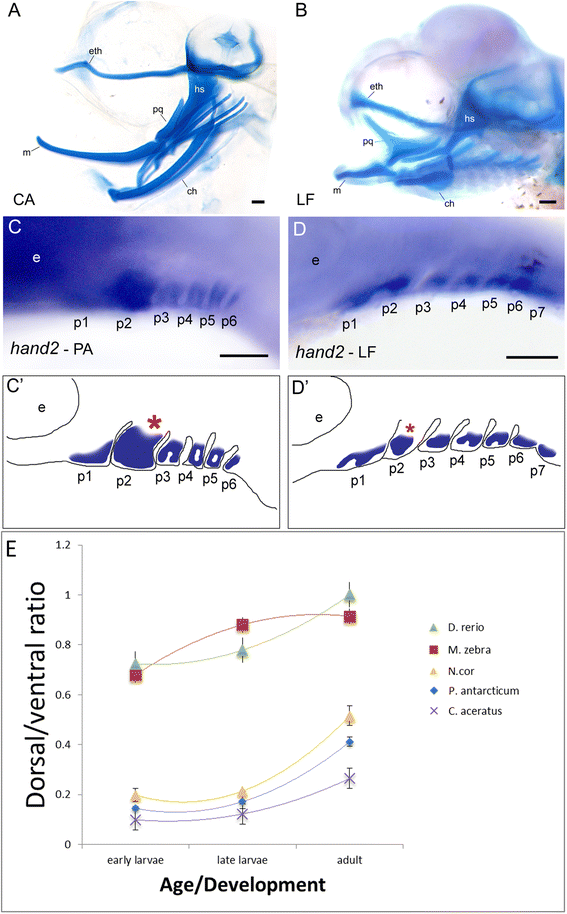 Fig. 5