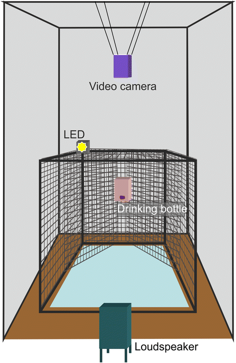 Fig. 2