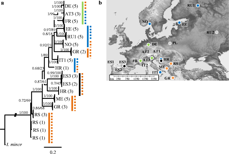 Fig. 2