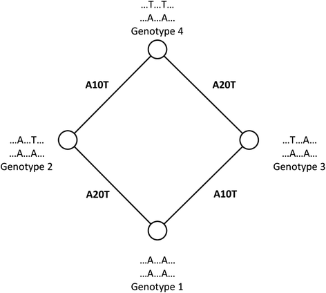 Fig. 6