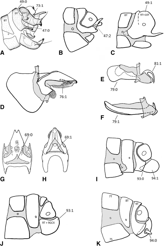 Fig. 5