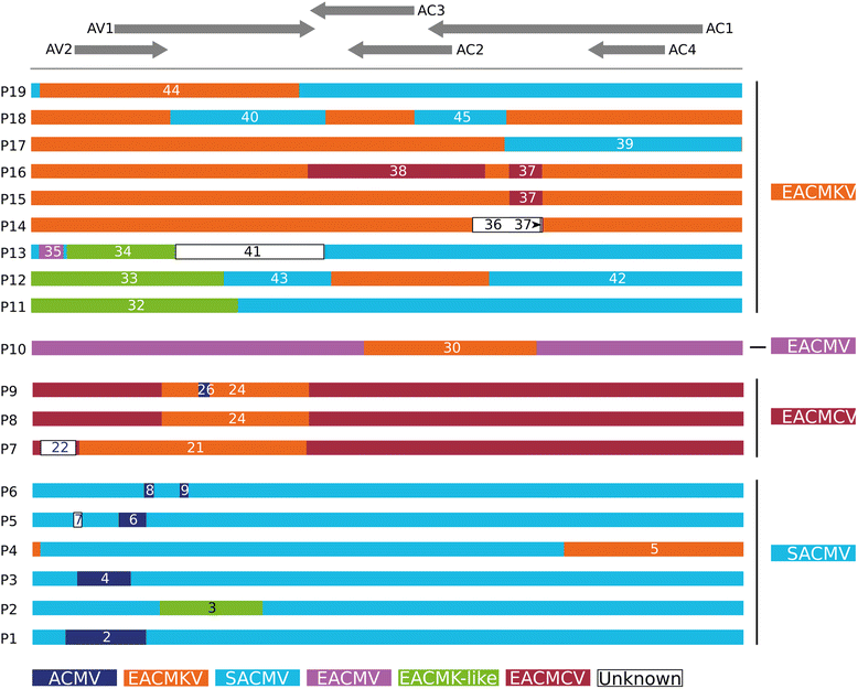 Fig. 2