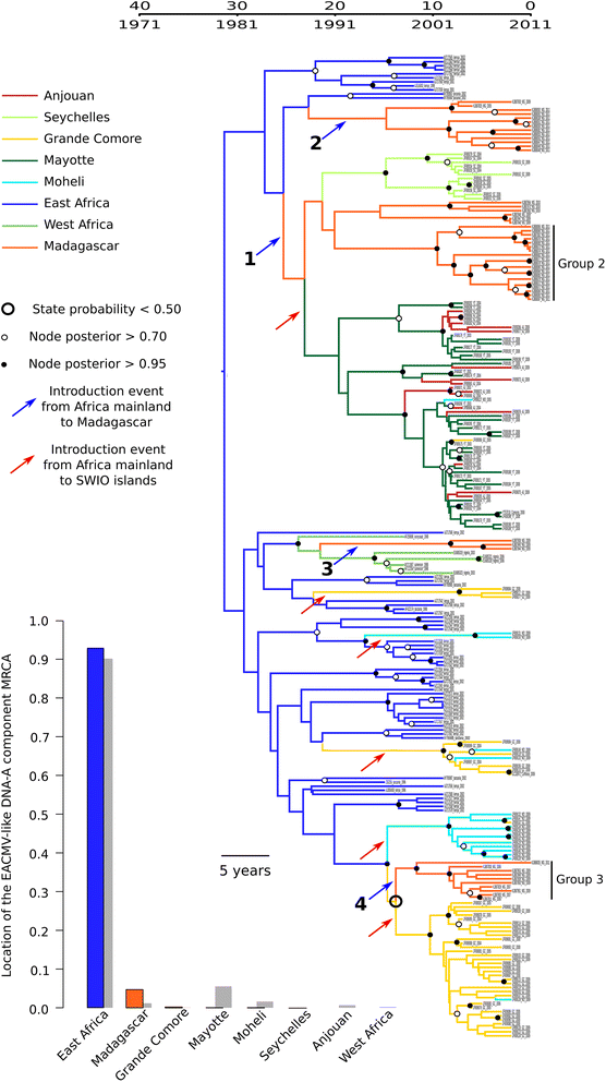 Fig. 7