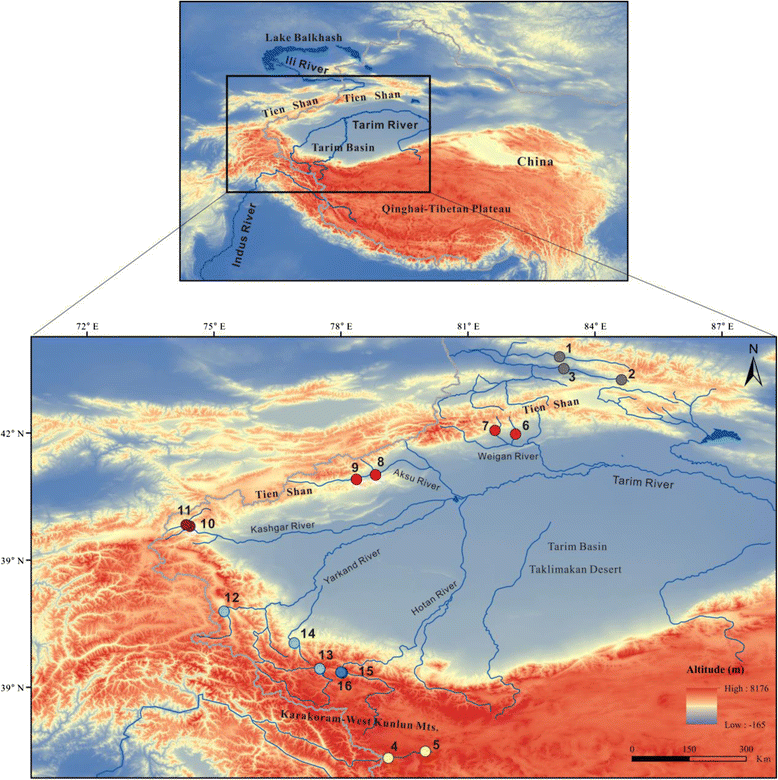 Fig. 1