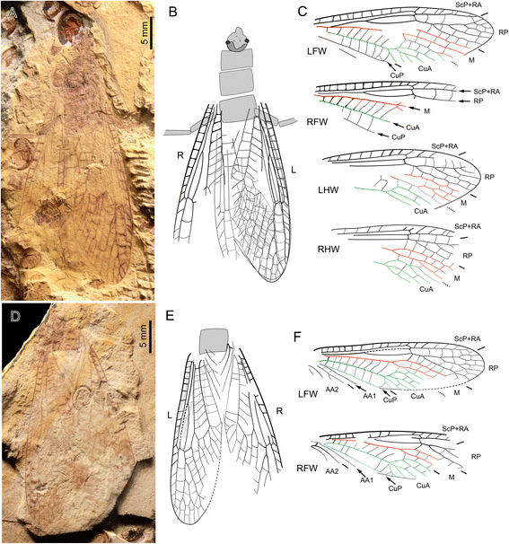 Fig. 4