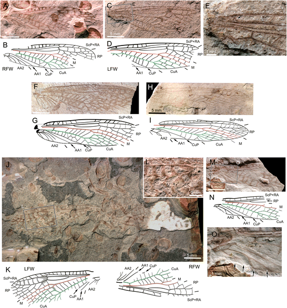 Fig. 5