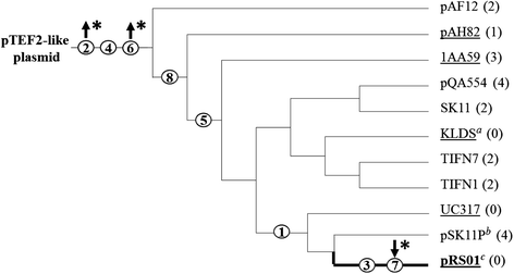 Fig. 6