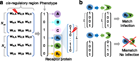 Fig. 1