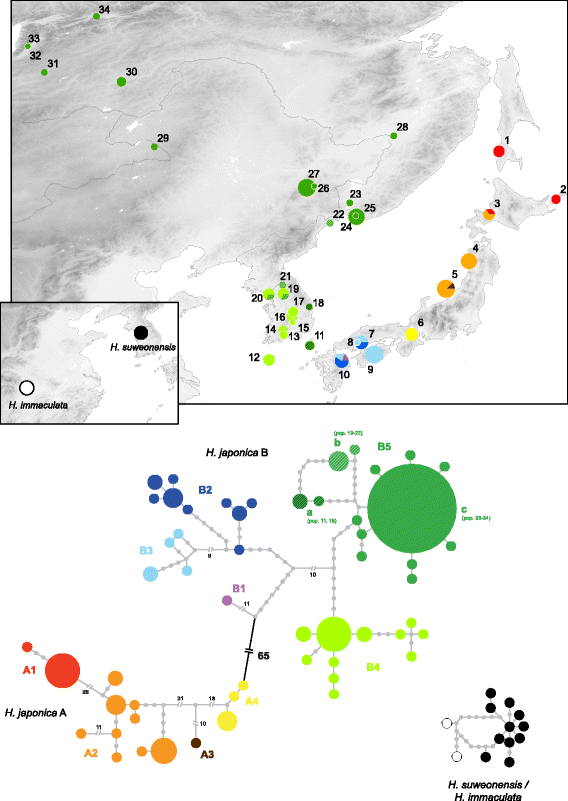 Fig. 3