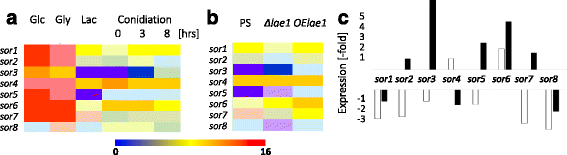 Fig. 3