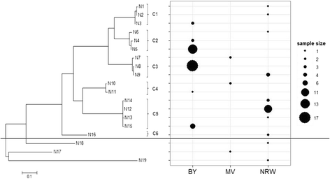 Fig. 3