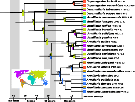 Fig. 3