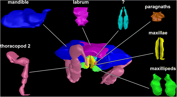 Fig. 2