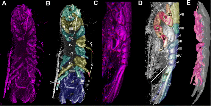 Fig. 6