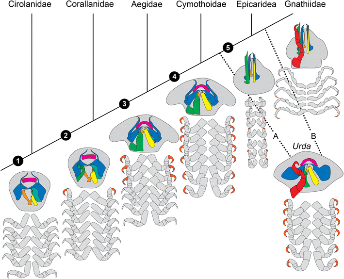 Fig. 7