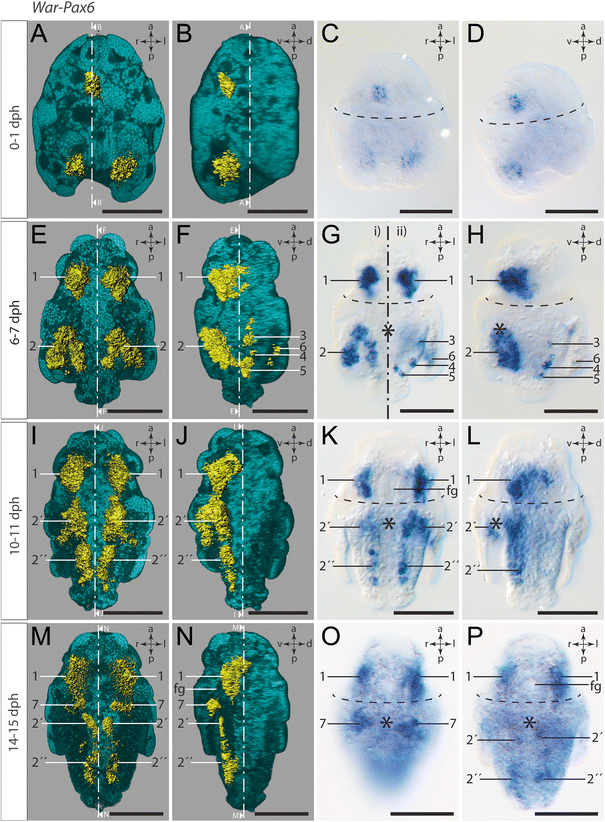 Fig. 8