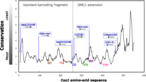 Fig. 8