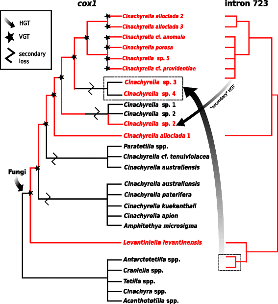 Fig. 9