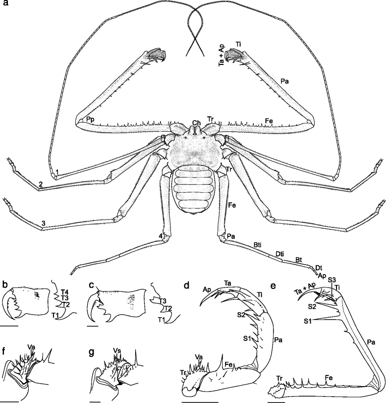 Fig. 1