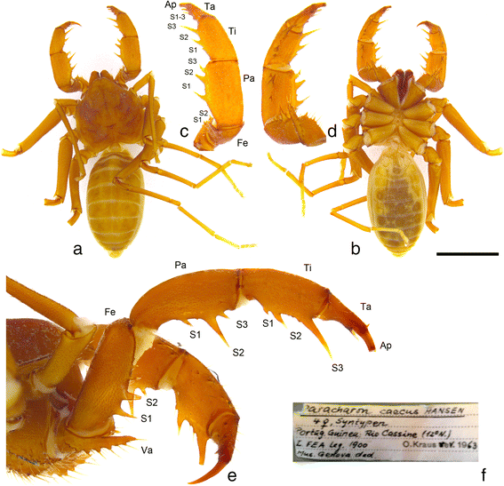 Fig. 2