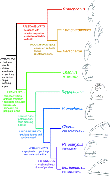 Fig. 6