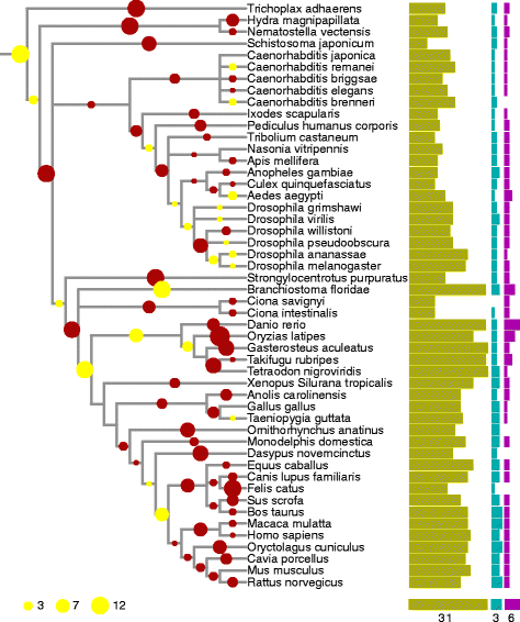 Fig. 3