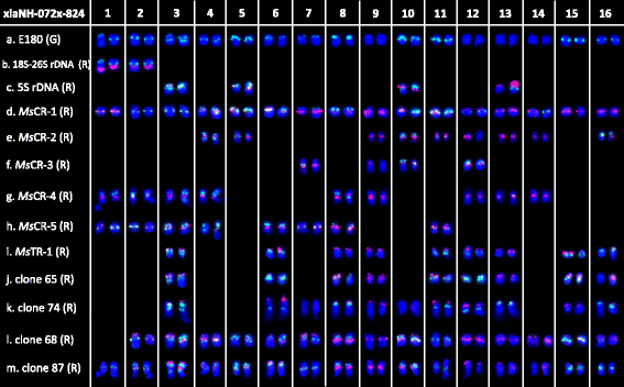 Fig. 4