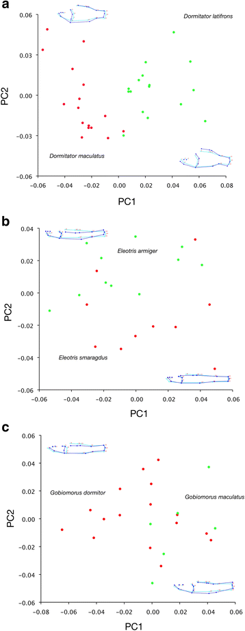 Fig. 6