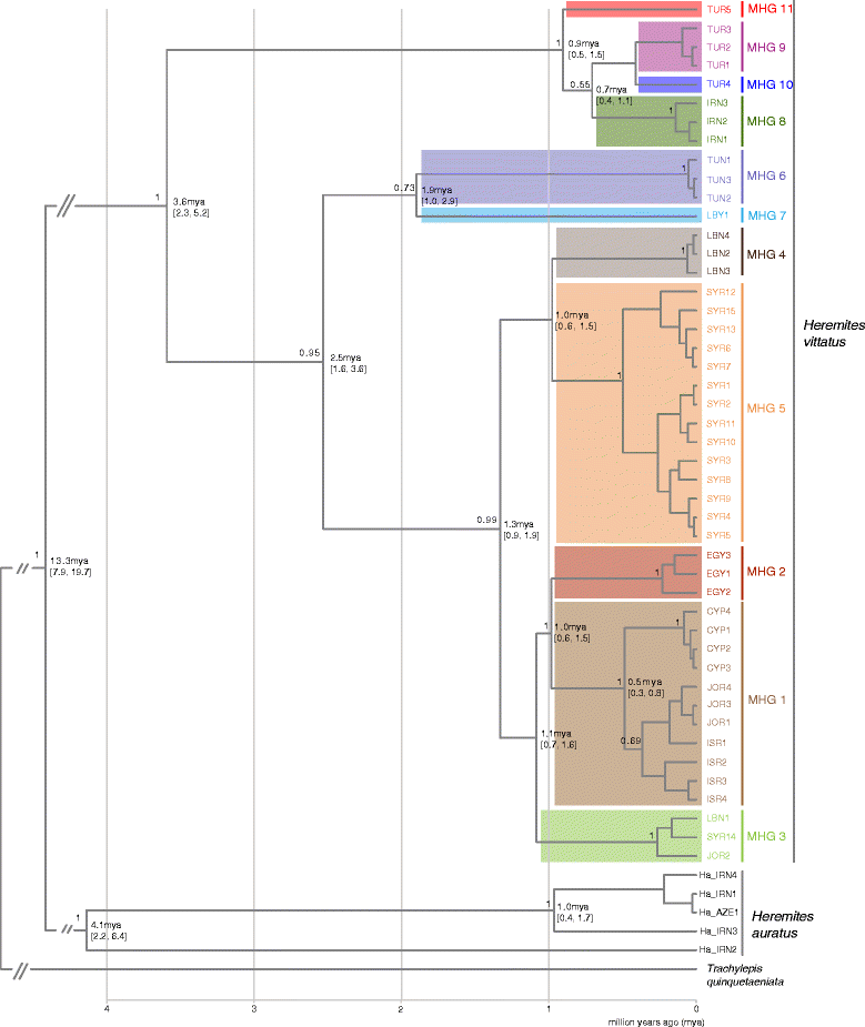 Fig. 4