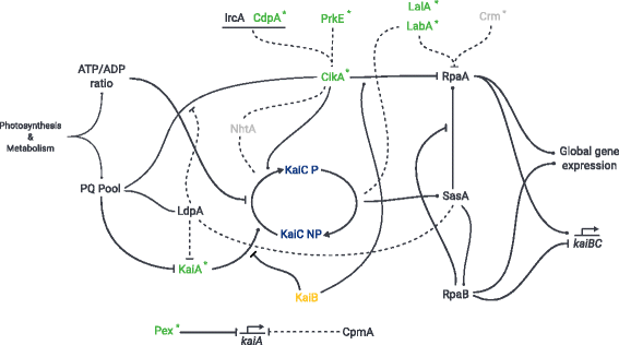 Fig. 7