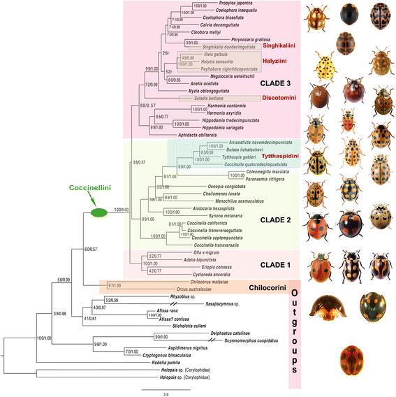 Fig. 3