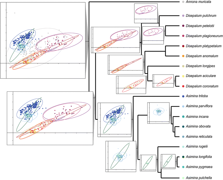 Fig. 6