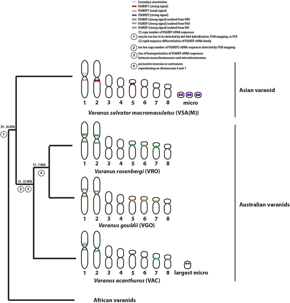 Fig. 5