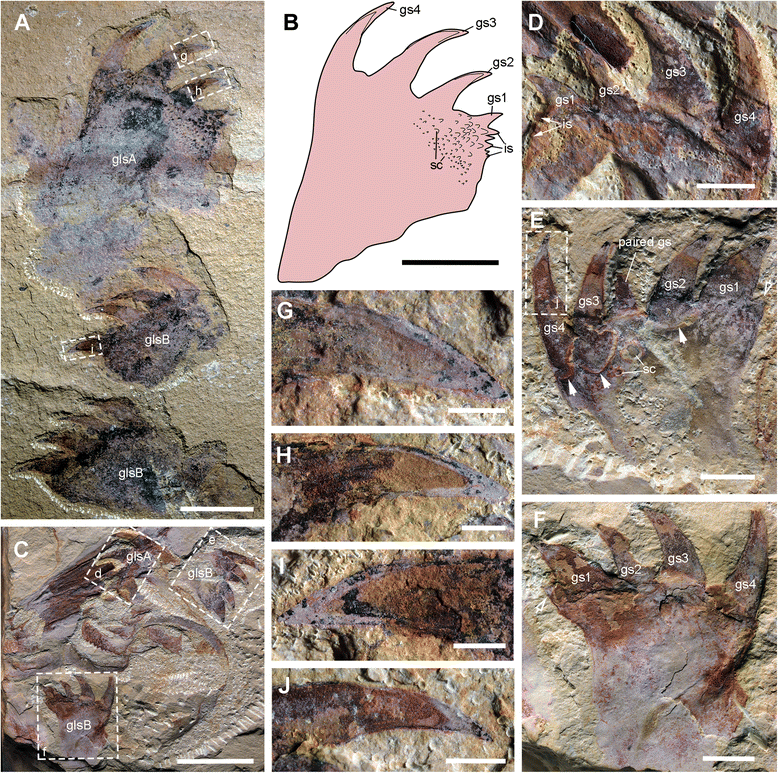 Fig. 7