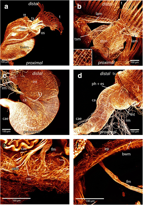 Fig. 5