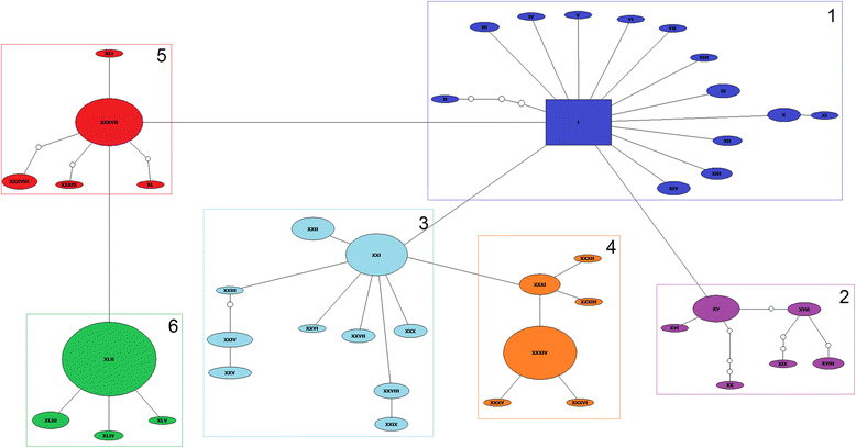 Fig. 1