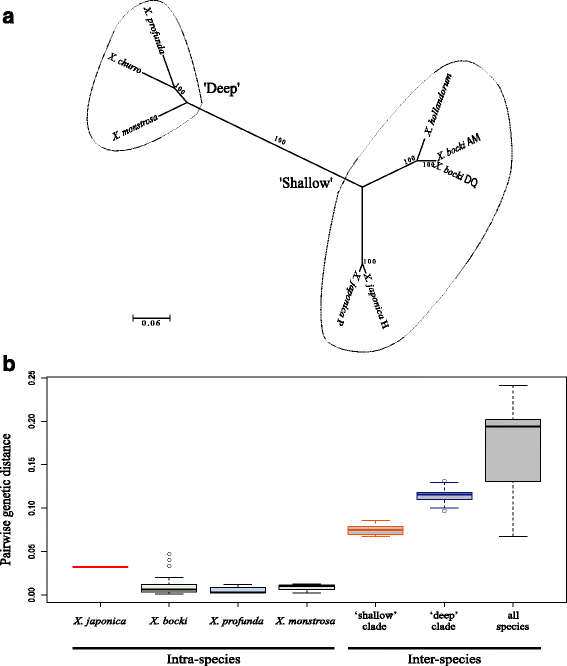 Fig. 4