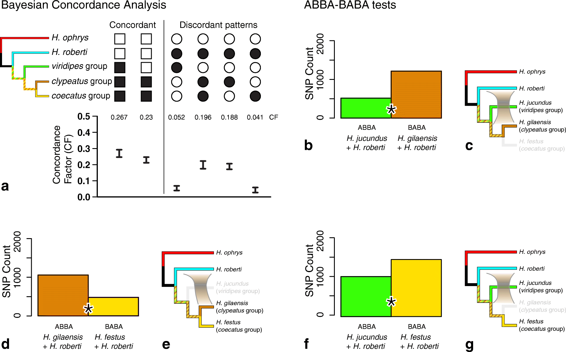 Fig. 5