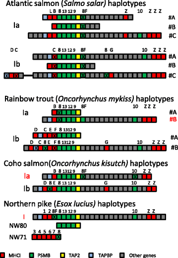 Fig. 2