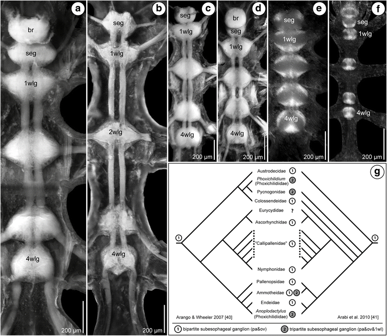 Fig. 13